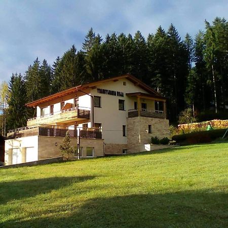 גוסאו Transylvania Villa & Spa מראה חיצוני תמונה